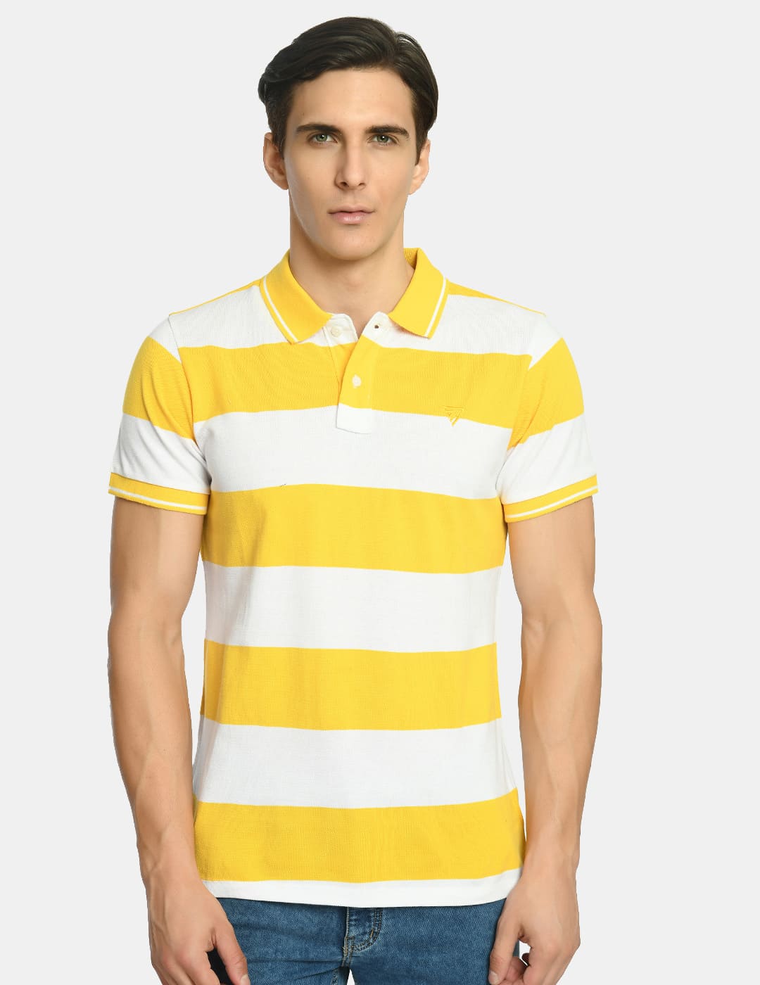 Men's Striped Casual Wear Polo T-Shirt